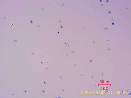 高结合特性蛋白组学前处理磁珠