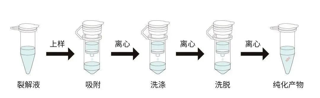固相萃取原理