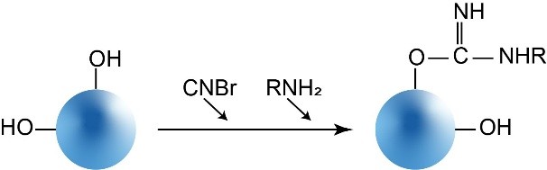 CNBr琼脂糖磁珠