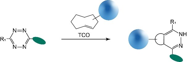 TCO活化的琼脂糖磁珠 TCO活化的琼脂糖磁珠