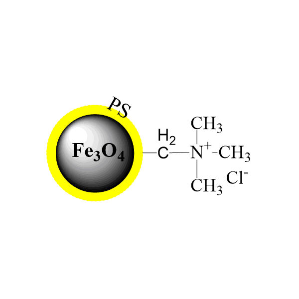 聚苯乙烯（PS）包覆磁珠—阴离子交换