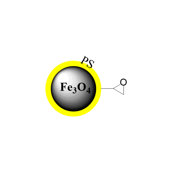 聚苯乙烯（PS）包覆磁珠—表面环氧基|环氧基磁珠|高密度环氧基磁珠