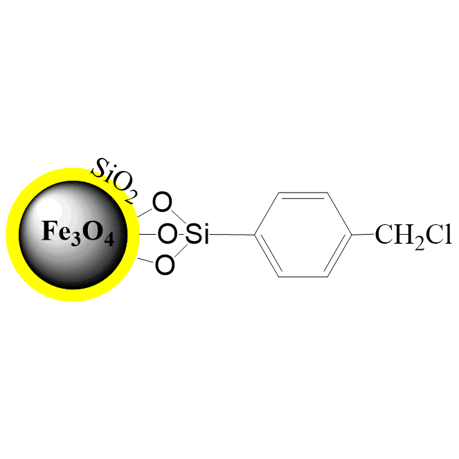 PuriMag Si-benzylchloride 苄基氯修饰磁珠