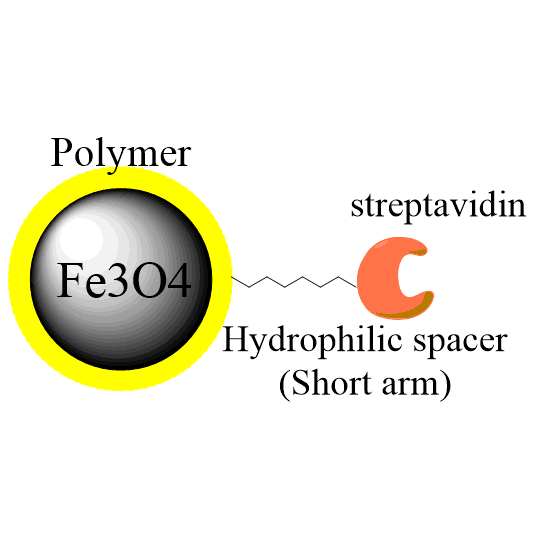 PuriMag G-Streptavidin beads, Streptavidin modified magnetic beads