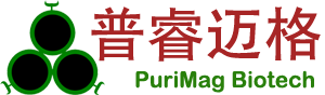 生物磁珠专家 - Purimag Bead 官网 | 高品质生物磁珠解决方案