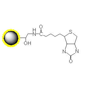 生物素磁珠|生物素修饰磁珠|biotin磁珠|biotin magnetic 