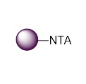 组氨酸标签蛋白纯化磁珠|Magarose NTA
