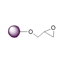 环氧基活化琼脂糖磁珠|环氧基琼脂糖微球|Magarose-Epoxy