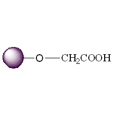 羧基活化琼脂糖磁珠|羧基琼脂糖微球|Magarose-COOH