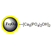 羟基磷灰石磁珠 (PuriMag Si-HA)|hydroxyapatite 