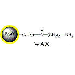 弱阴离子交换磁珠 (PuriMag Si-WAX)|代替Dynabeads® 