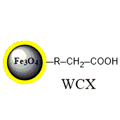 弱阳离子交换磁珠 (PuriMag Si-WCX)|代替Dynabeads® 