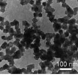 40-50nm磁性纳米粒子|magnetic nanoparticle of 