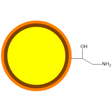 氨基磁珠|氨基磁性微球（1微米）