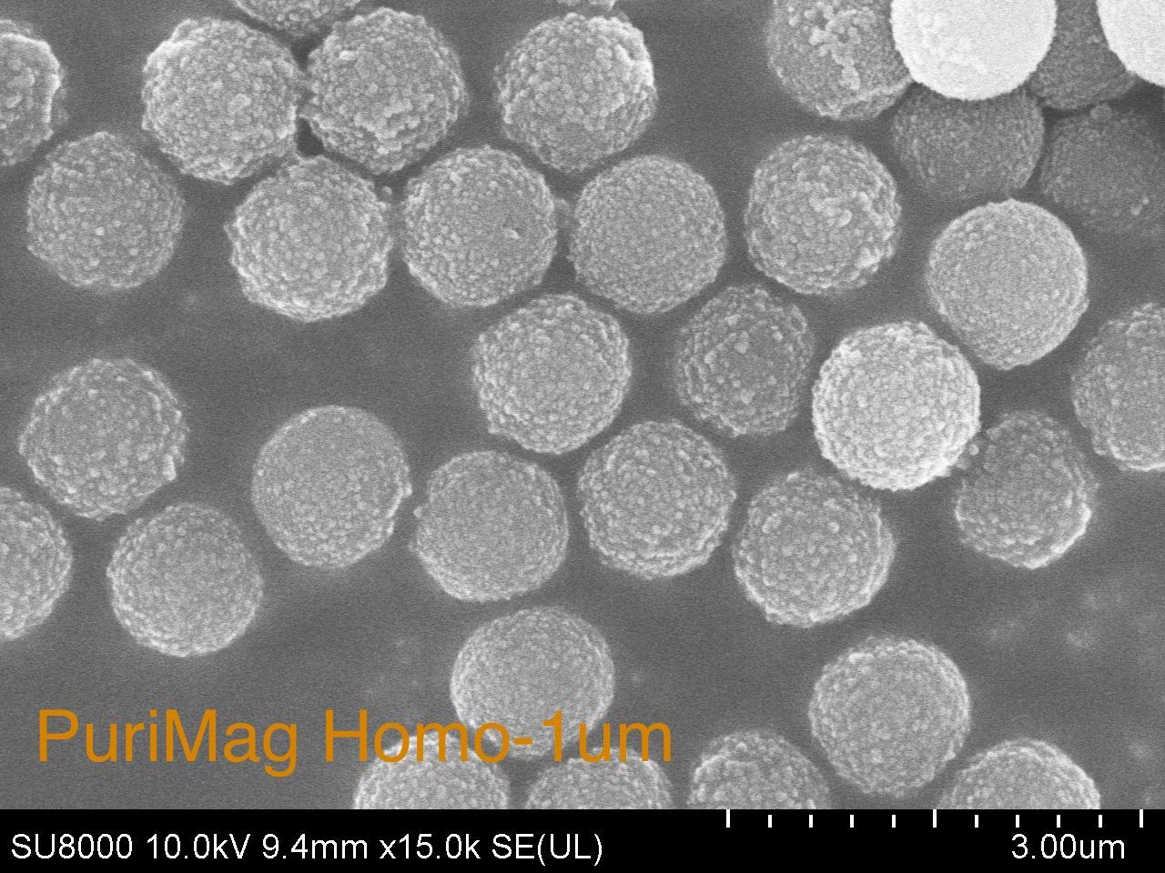 高密度环氧基磁珠|环氧基磁性微球（1微米）|PuriMag Homo-Epoxy磁珠
