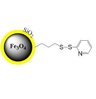 活化巯基磁珠 PuriMag™ Thiol-Activated Magnetic Beads