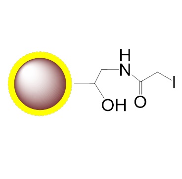 碘乙酰磁珠|Iodoacetyl  magnetic microparticl