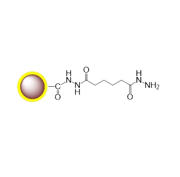 酰肼磁珠|Hydrazide magnetic beads