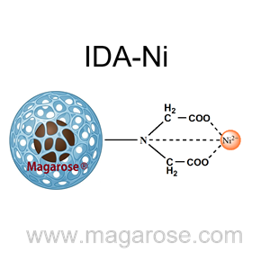 Magarose-IDA-Ni | His-tag蛋白纯化磁珠 | 组氨酸标签